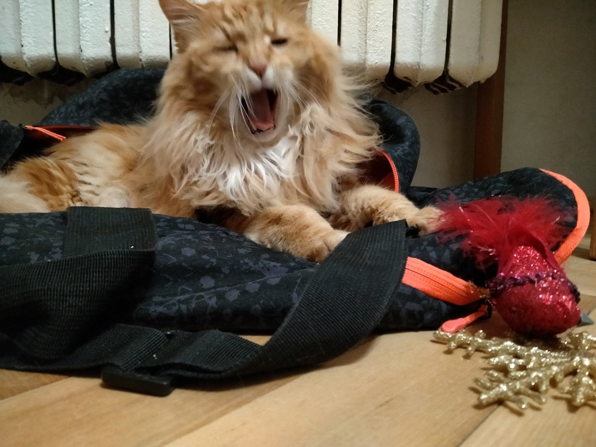 алекс on Twitter: \"RT @noshallowend: Худший день смог стать ещё хуже ...