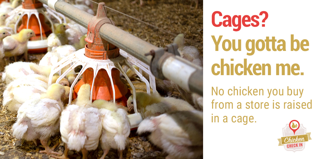 National Chicken Council 🍗 tweet media