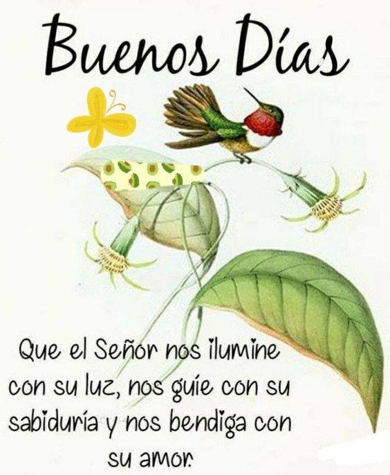 @Carol18ing @MaraCri08242244 @S133Gadu @Gabyanabrav @AlivenSandoval @antoniocarriza3 @columanasbj @CumariEn @Guardian6674 @imaldonado90 @Janneth0971 @JesusPu71322669 @JorgitoLRA @jose561351211 @joseeligarcia @jrevolucion9 @lilibeth0215 Buenos días Ingrid  feliz fin de semana, hoy es viernes de aroma