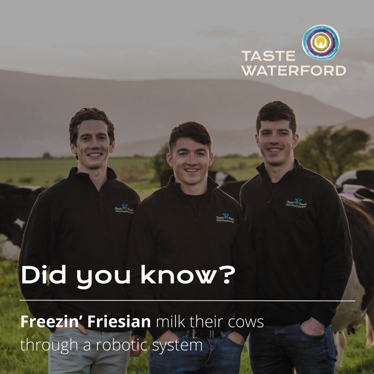 Taste Waterford (@tastewaterford) on Twitter photo <a href="/FreezinFriesian/">Freezin’ Friesian</a> launched in 2018 making truly luxurious & delicious ice cream.🍦
Their cows are milked passing through a robotic system. This means they can be milked when they like, rather than restricted to a time, minimising stress and makes for a better base ingredient.🐄 <a href="/FreezinFriesian/">Freezin’ Friesian</a> launched in 2018 making truly luxurious & delicious ice cream.🍦
Their cows are milked passing through a robotic system. This means they can be milked when they like, rather than restricted to a time, minimising stress and makes for a better base ingredient.🐄