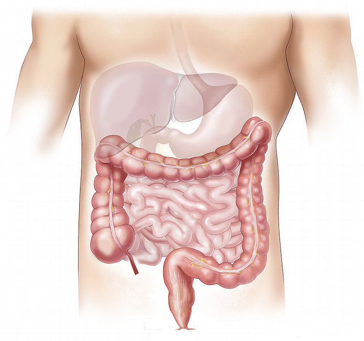 BiobancoIdISSC's tweet photo. Hoy 31 de marzo, Día Mundial contra el Cáncer de Colon, desde el Biobanco del IdISSC queremos resaltar la importancia de la investigación en esta enfermedad y agradecer a los pacientes que participan en la investigación donando a la colección que custodiamos.
#somosclinico https://t.co/qLTKX5WyLI