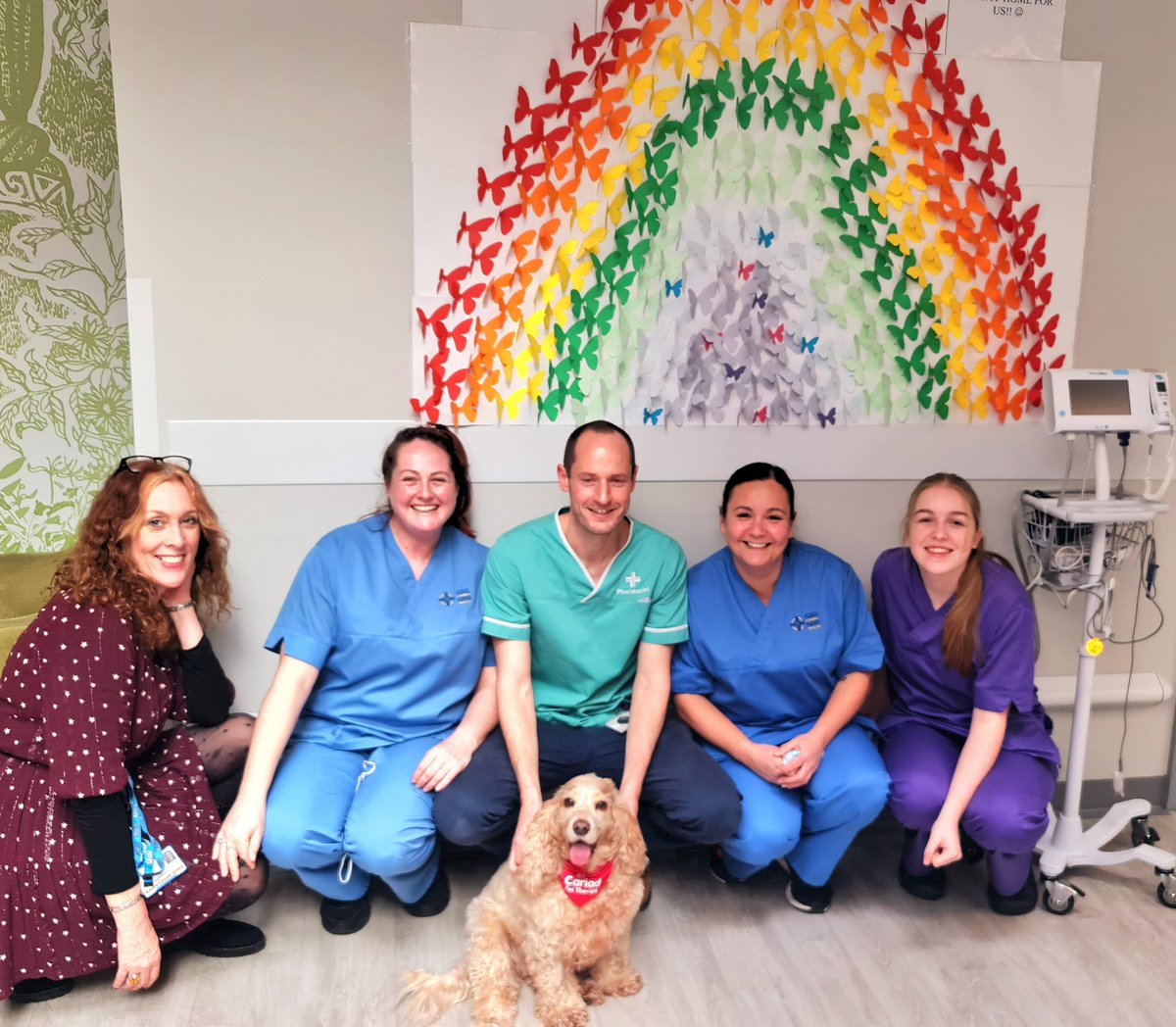 huwrob62's tweet photo. @CariadPet @CwmTafMorgannwg
Honey made her regular Friday visit to Y Bwthyn earlier ❤️💙💚
#pettherapy #dogsofinstagram #therapydog #therapydogsofinstagram #animalassistedtherapy #therapyspaniel #roanspaniel #wellbeing #cariadpettherapy https://t.co/oZZgwaAzTW