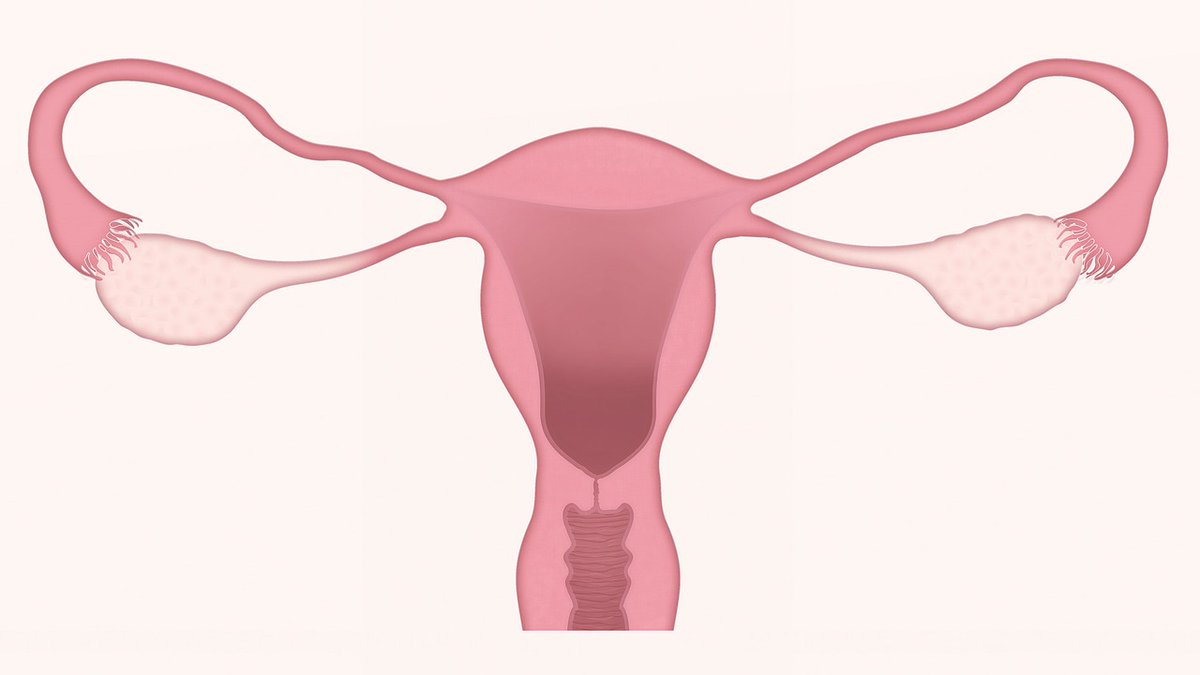 BiobancoIdISSC's tweet photo. Hoy 26 de marzo, Día Mundial del Cáncer de Cérvix, desde el Biobanco del IdISSC queremos resaltar la importancia de la investigación en esta enfermedad y agradecer a los pacientes que participan en la investigación donando a la colección que custodiamos.
#somosclinico https://t.co/04YrpuDT6A