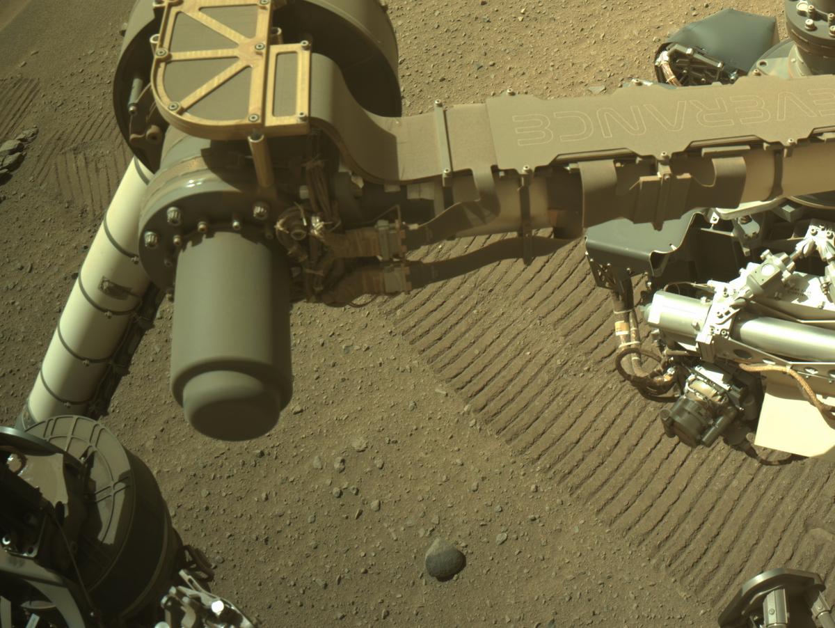 MarsMissionImgs's tweet photo. #PerseveranceRover image taken on #Sol705 at 2:02:45.638 PM with #Navcam #Mars #NASA #Space https://t.co/sY0xpvw0Q4
