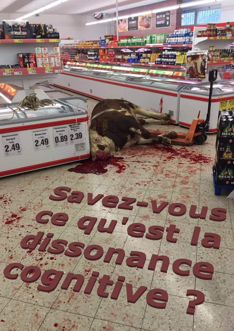 KFranc91's tweet photo. RAYON BOUCHERIE... https://t.co/fcYZbB0bIk