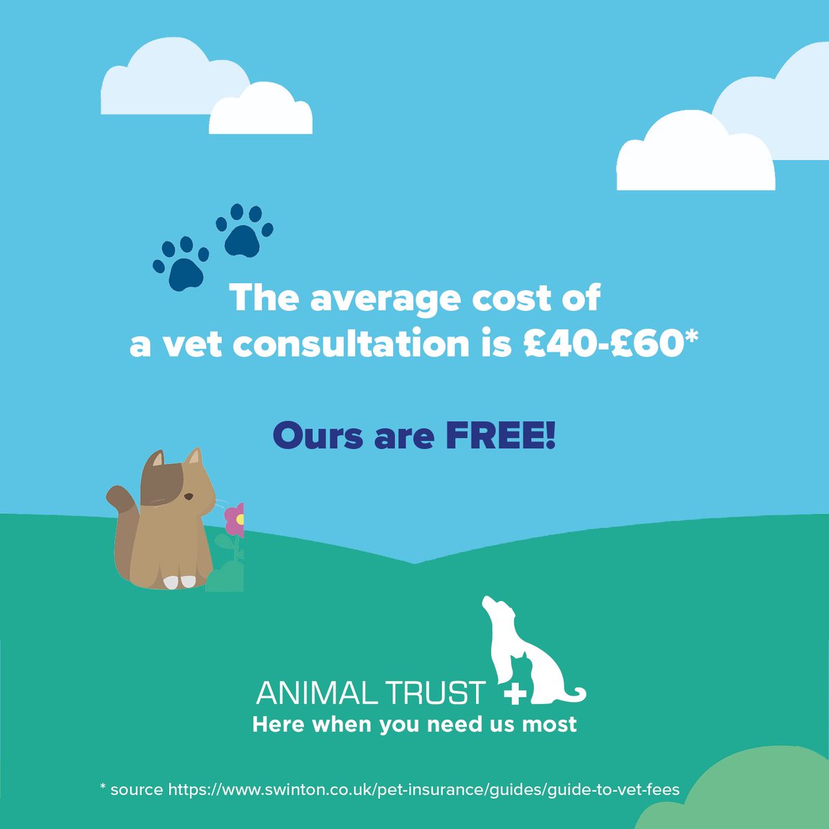 Animal Trust Vets tweet media