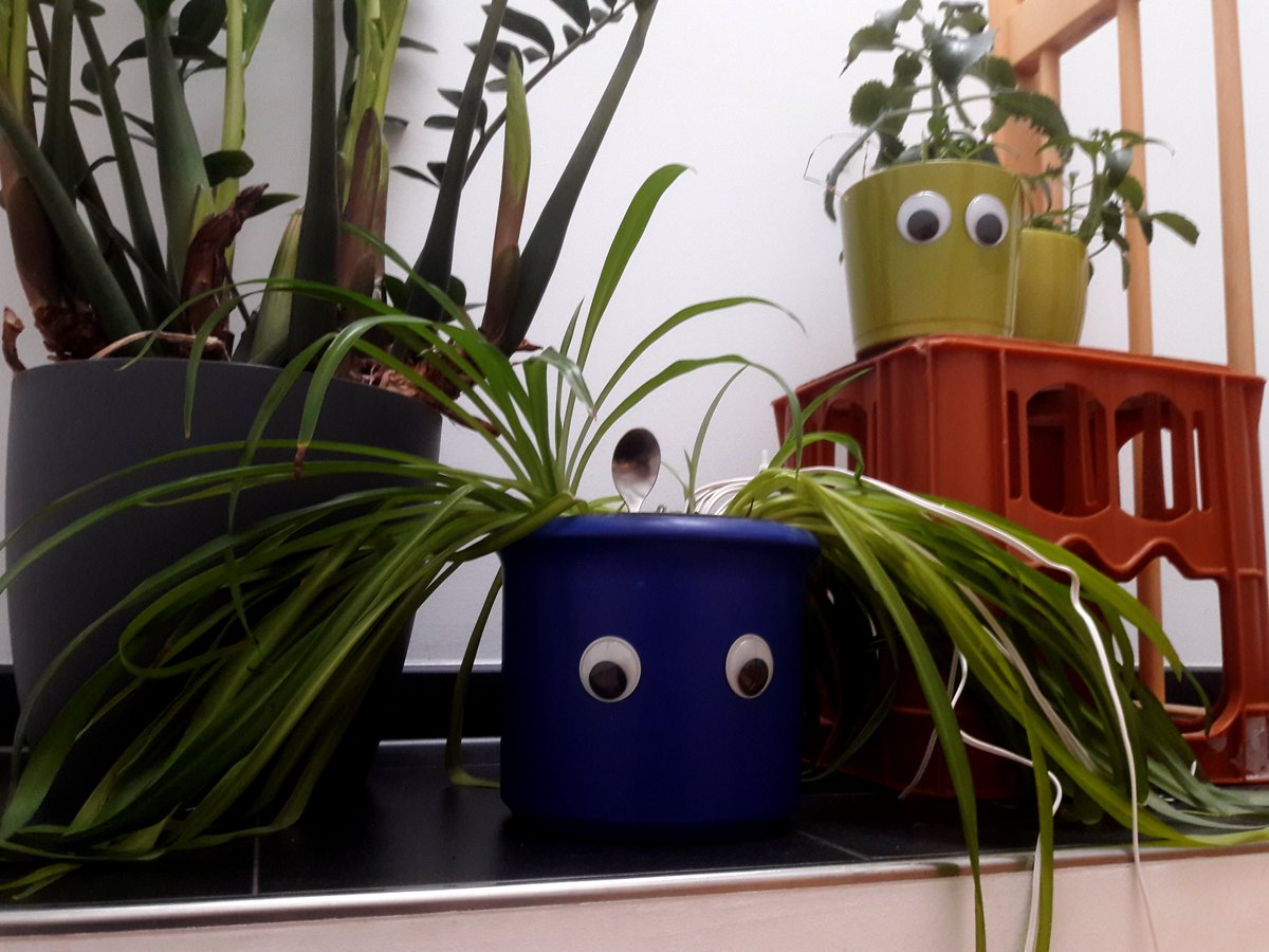 realHerrPflanze's tweet photo. Wochenende, endlich Zeit mit den Jungs um die Häuser zu ziehen #DerZapfhahnRuft https://t.co/pivSIp6eE9