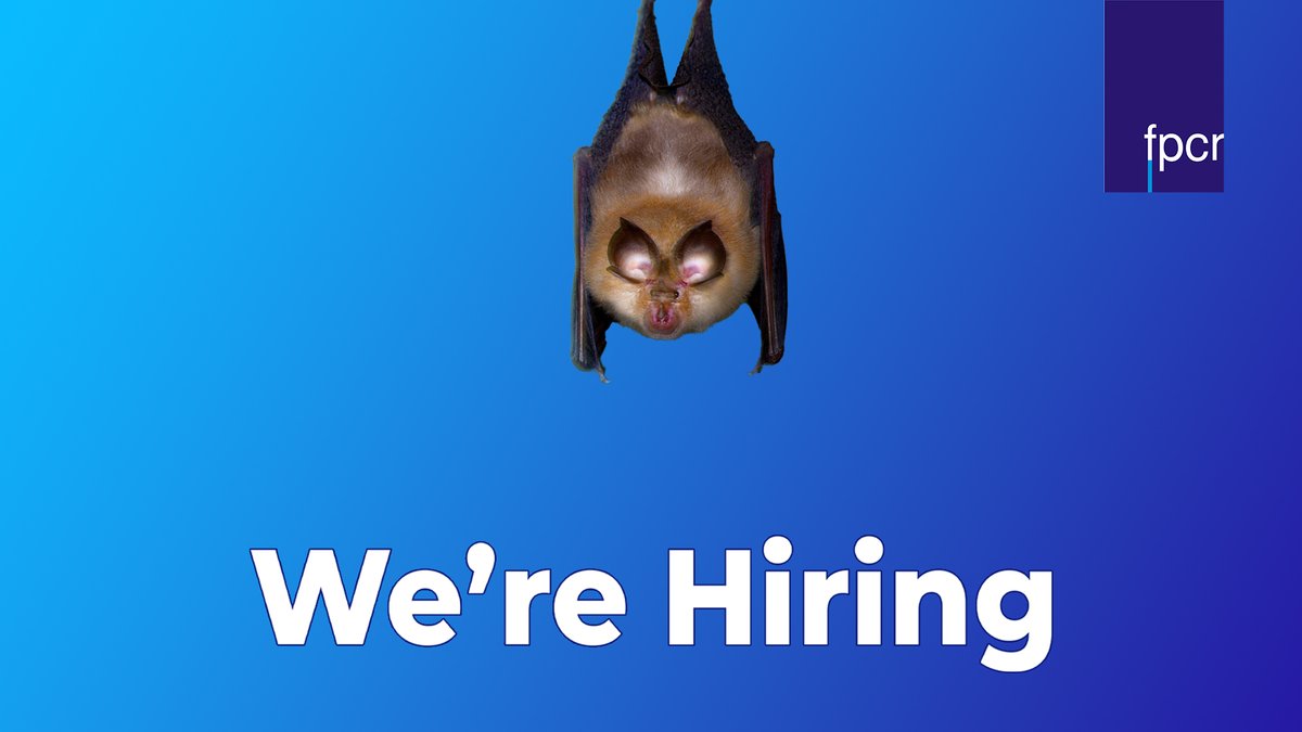 FPCR are hiring Seasonal Assistant Ecologists to help with the upcoming survey season, based out of our Head Office in Lockington and Sheffield.

fpcr.co.uk/careers/job-li…

#career #recruiting #job #hiring #ecology #team #work #recruitment #opportunities