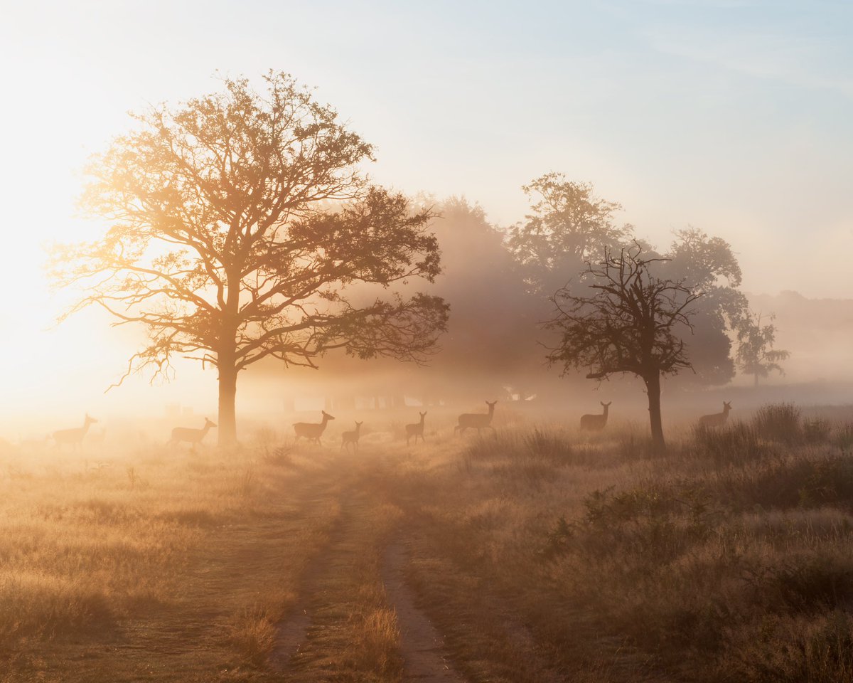 Ida Hollis tweet media