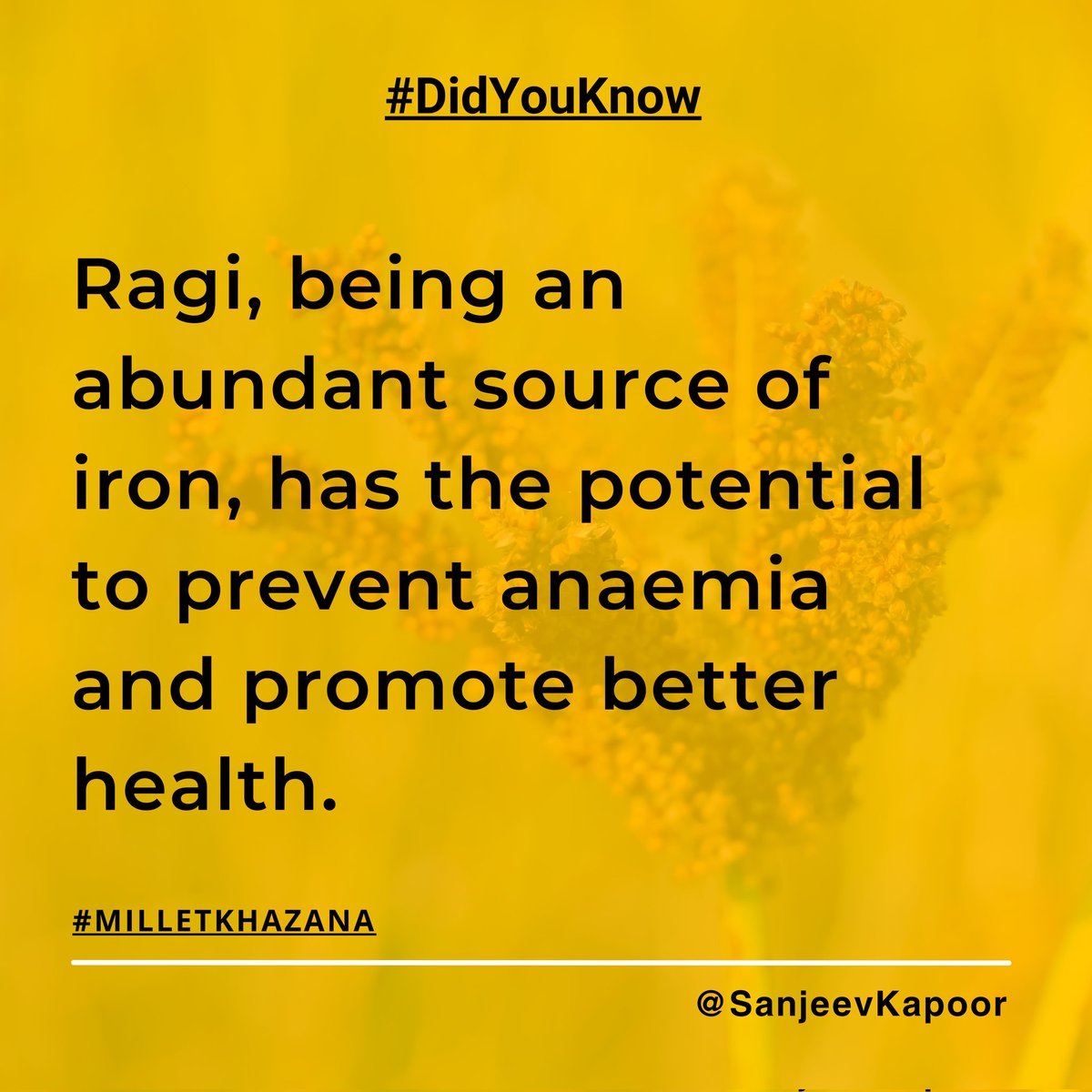 Here's something you may not have known about Ragi.

#MilletKhazana

#365DaysOfMillets #MilletwithSK #ThisYearMillets #YearOfMillets #WorldOnMillets #IndiaOnMillets #IYOM2023 #Millet #milletrecipes #ragi #nachni #fingermillet