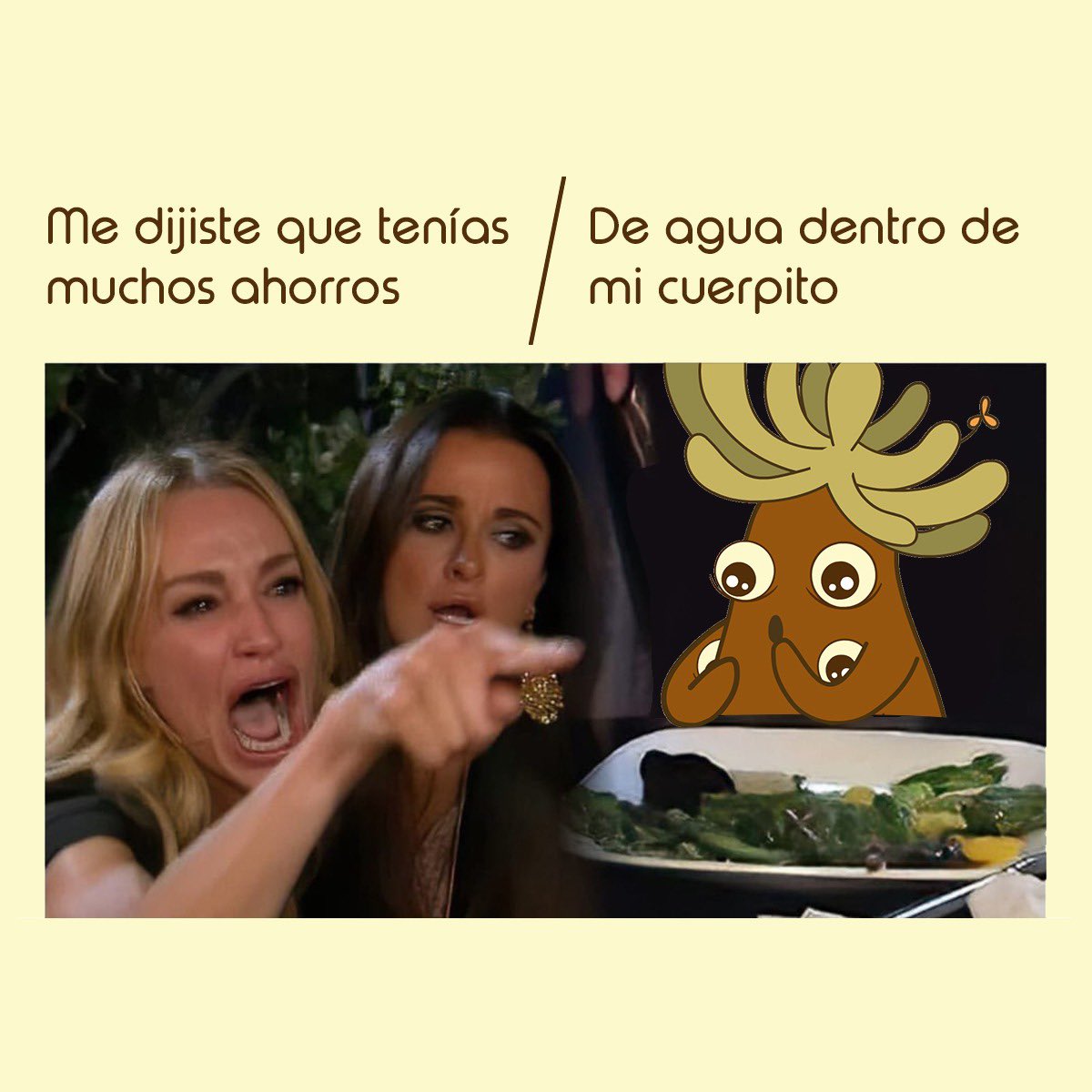 soyelfrailejon's tweet photo. Así es, con los pelitos que tenemos el las hojas, absorbemos humedad de la neblina, la convertimos en agua dentro de nuestros cuerpos y la liberamos para que vaya a ríos y quebradas y así tú puedas usarla. ¿Sabías esto sobre los frailejones? https://t.co/1x6s3at1KY