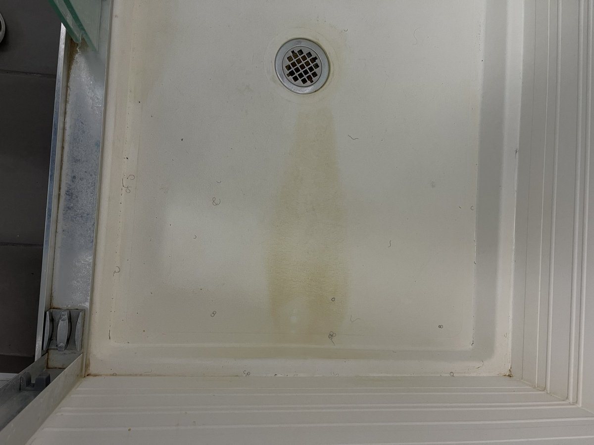 silkycor's tweet photo. If you thought my story about #AvidHotel was bad, it got worse upon my arrival!  Feces, food on the floor, pubic hair etc!  I cleaned my room!  Do better #IHG #teamnass #horriblecustomerservice #IHGcorporate https://t.co/Gfcp5sNVfo