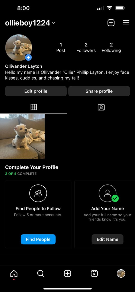 jeff_layton's tweet photo. Hey guys! Made an insta for little Ollie .. send a follow for daily doggo pics! https://t.co/s0wD9J0cKp