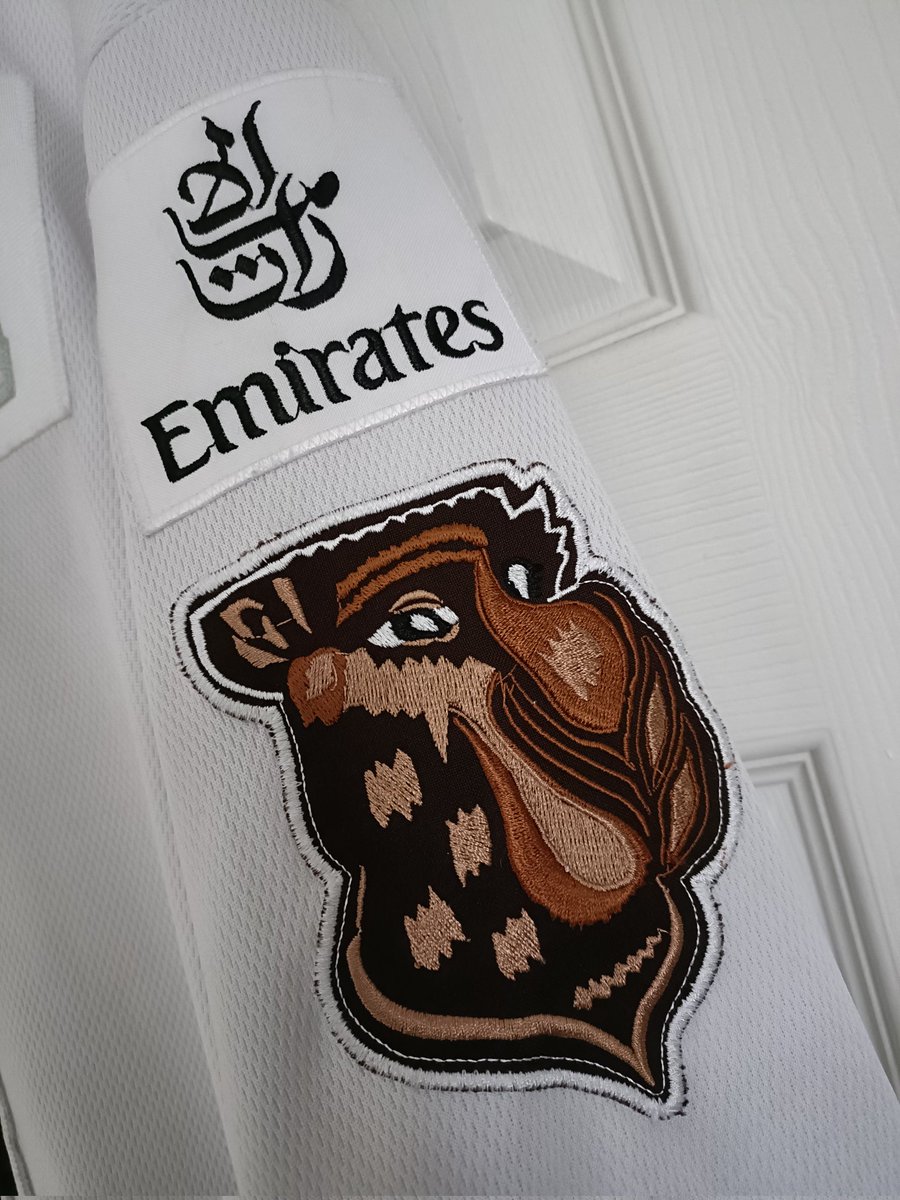 Absolute belter of a <a href="/MigthyCamels/">Dubai Mighty Camels</a> jersey, thanks so much to <a href="/FlyingVintage/">Flying V Vintage Sports Clothing</a> for the amazing service. Top lad #mightycamels