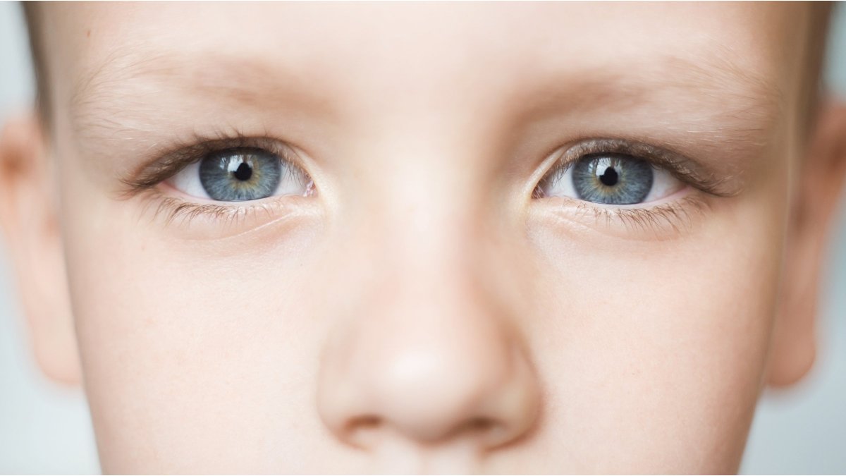 Clinical Council for Eye Health Commissioning (@clinicalcouncil) on Twitter photo The Clinical Council for Eye Health Commissioning has written to NHS England urging them to commission a School Eye Care Service for all children with special needs <a href="/CollegeOptomUK/">College of Optometrists</a> <a href="/RCOphth/">Royal College of Ophthalmologists</a> <a href="/SeeAbility/">SeeAbility</a> college-optometrists.org/news/2023/febr… The Clinical Council for Eye Health Commissioning has written to NHS England urging them to commission a School Eye Care Service for all children with special needs <a href="/CollegeOptomUK/">College of Optometrists</a> <a href="/RCOphth/">Royal College of Ophthalmologists</a> <a href="/SeeAbility/">SeeAbility</a> college-optometrists.org/news/2023/febr…