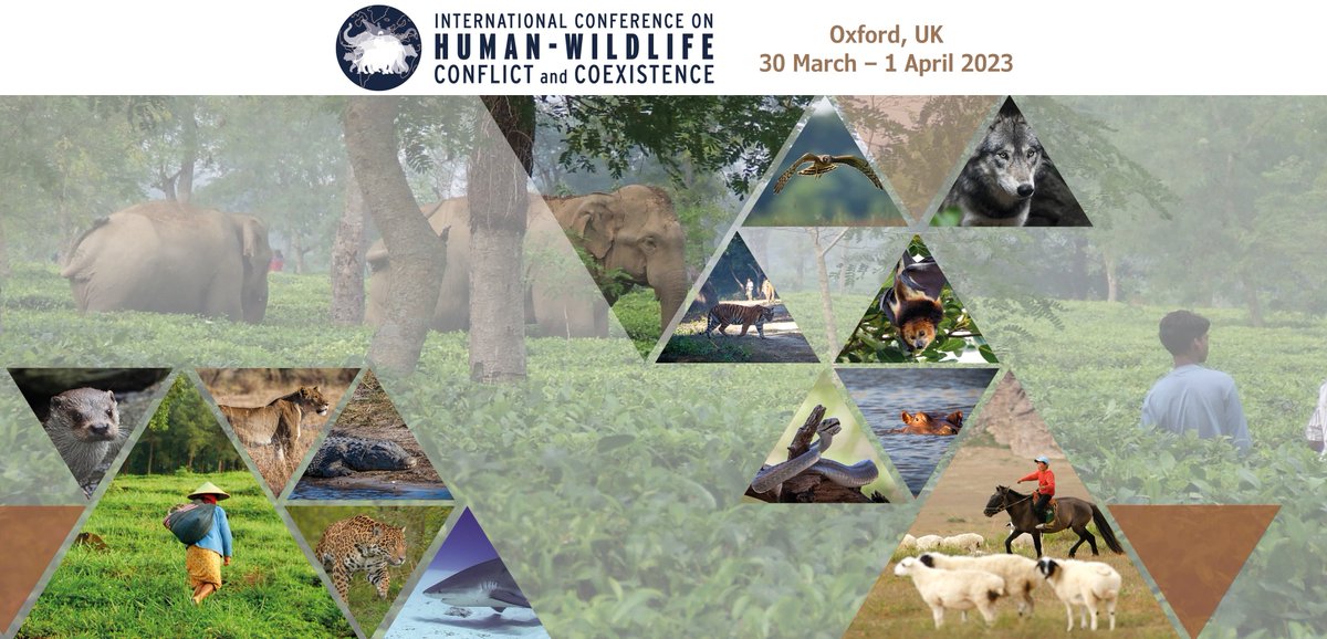 Excited about our forthcoming <a href="/IUCNssc/">IUCN Species Survival Commission</a> International Conference on Human-Wildlife Conflict &amp; Coexistence #HWC2023 in Oxford soon. Postponed from 2020, packed programme, IUCN HWCCSG <a href="/hwctf/">IUCN SSC Human-Wildlife Conflict & Coexistence SG</a> looking forward to welcoming 600 delegates from around the globe hwcconference.org