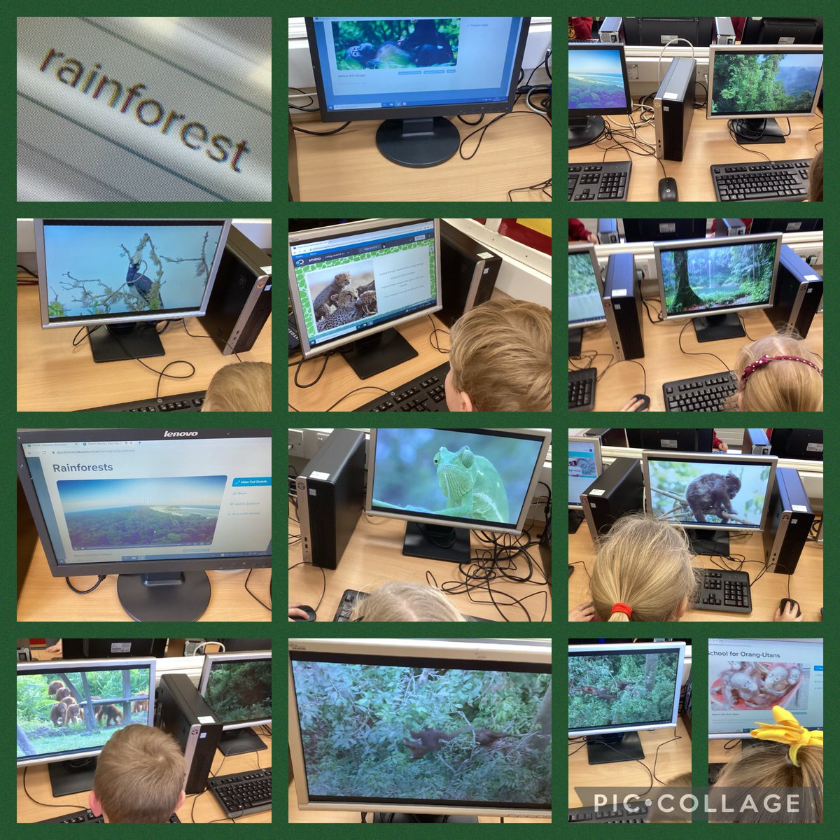 FRISroom5's tweet photo. Researching the rainforest on Espresso to help us with our non-fiction writing. #FRIScomputing #FRISenglish https://t.co/2YCJaa7zSK