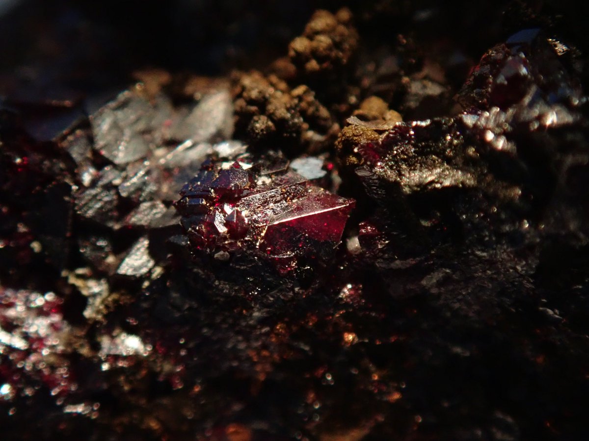 Bump_cloud's tweet image. キュプライト。
効くんだわ、これが。