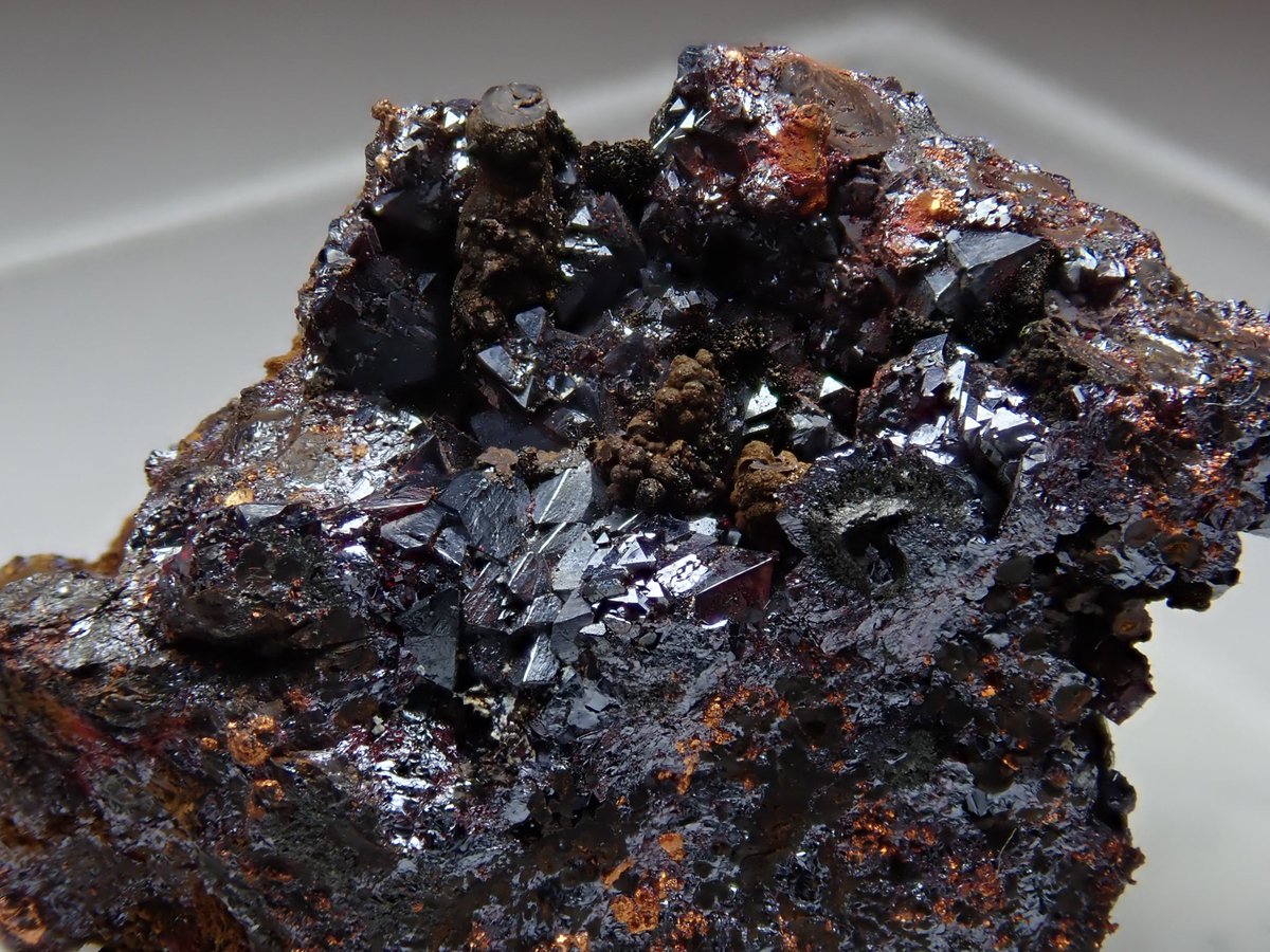 Bump_cloud's tweet image. キュプライト。
効くんだわ、これが。