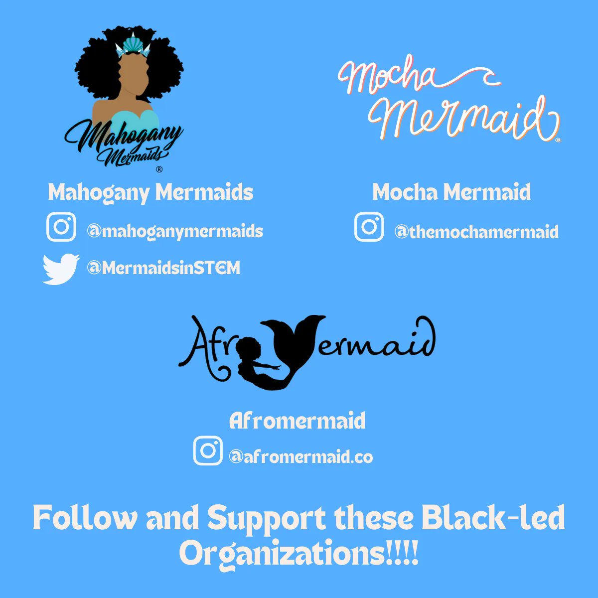 Minorities in Shark Sciences (MISS) tweet media