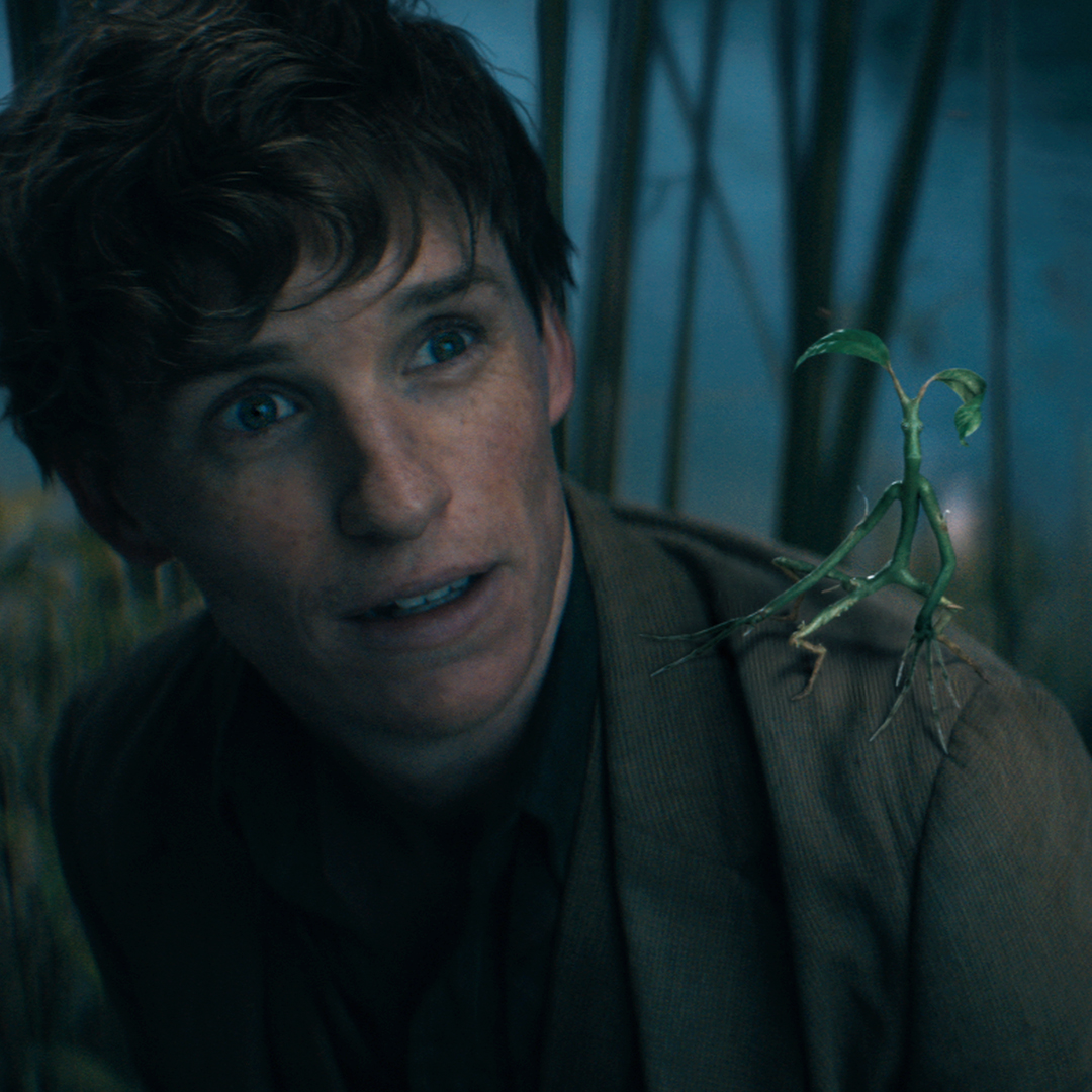 Newt and Pickett make the ultimate dynamic duo ❤️