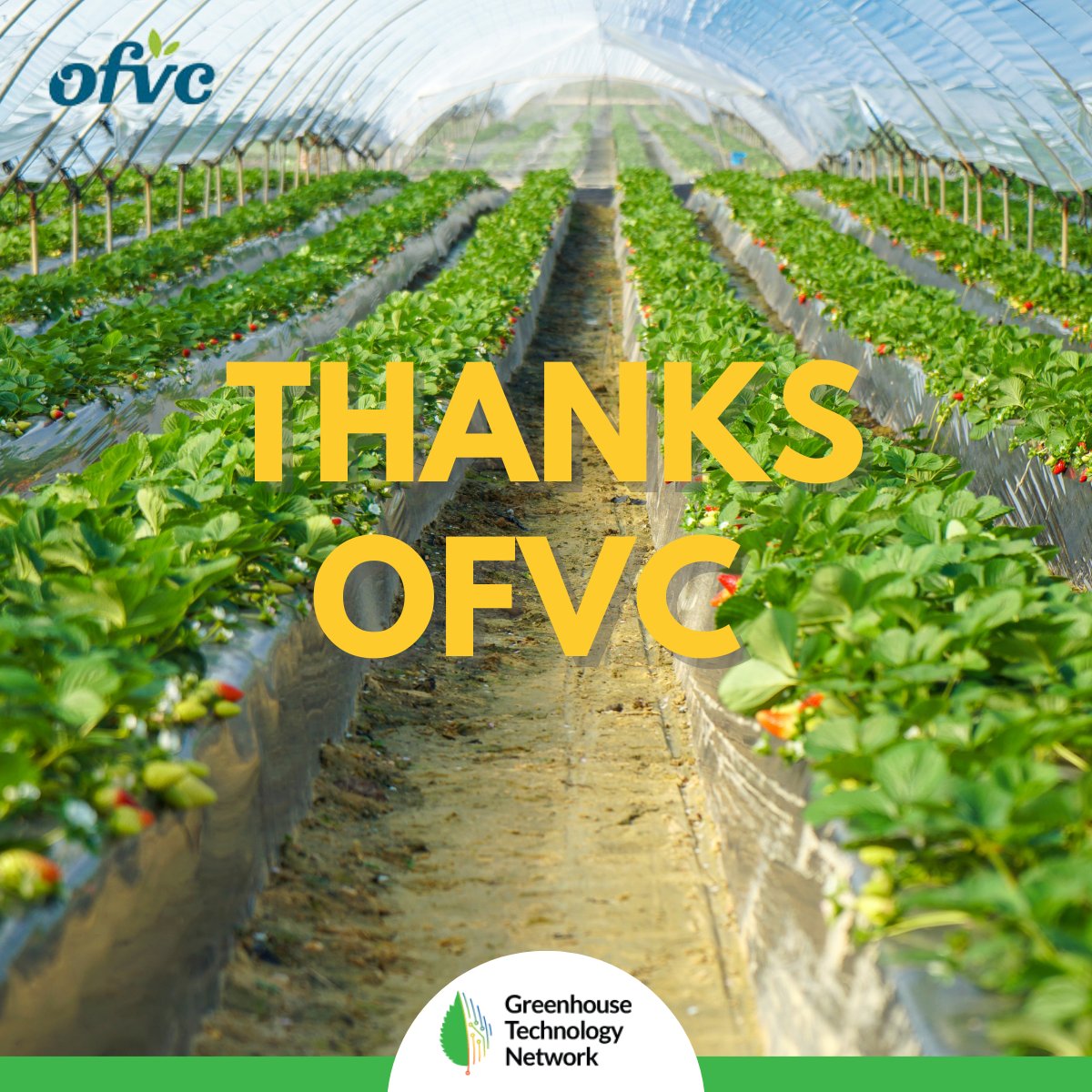 gtnontario's tweet photo. Huge thanks to OFVC and all the people who visited us during this wonderful event.
#OFVC2023 #GTN #Agriculture #TradeShow #Horticulture #Ontario #AgTech
@NCResearchInnov @vinelandrsrch @UofGuelphOAC @UofG_SES @UWindsor @BrockUniversity @FedDevOntario https://t.co/CiHQLaA6R2