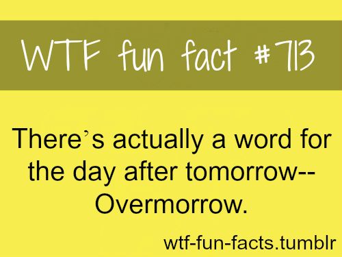ConsultingLogix's tweet photo. Fun Fact Friday: Did you know? 🤔💁♂️
#funfactfriday
#overmorrow
#whodofthunk https://t.co/2oFt36S8D1
