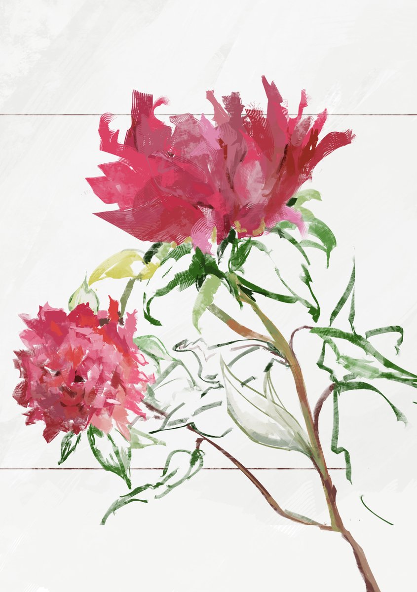 Peony Doodle　🌺 2023

#doodleart #flowerdoodle #doodle #peony #FlowersOnFriday #sketchflower #illust #모란
#ボタン