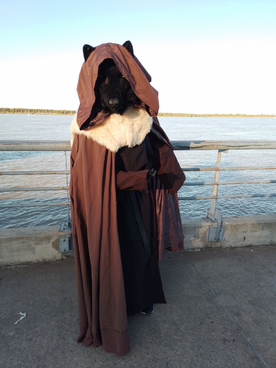 wolfang_schwarz's tweet photo. Welcome to my humble land.

#FursuitFriday 
#realisticfursuit
#fursuit
#cloak
#cape
#magician
#faoladh
#wolf https://t.co/gLdAo0LquM