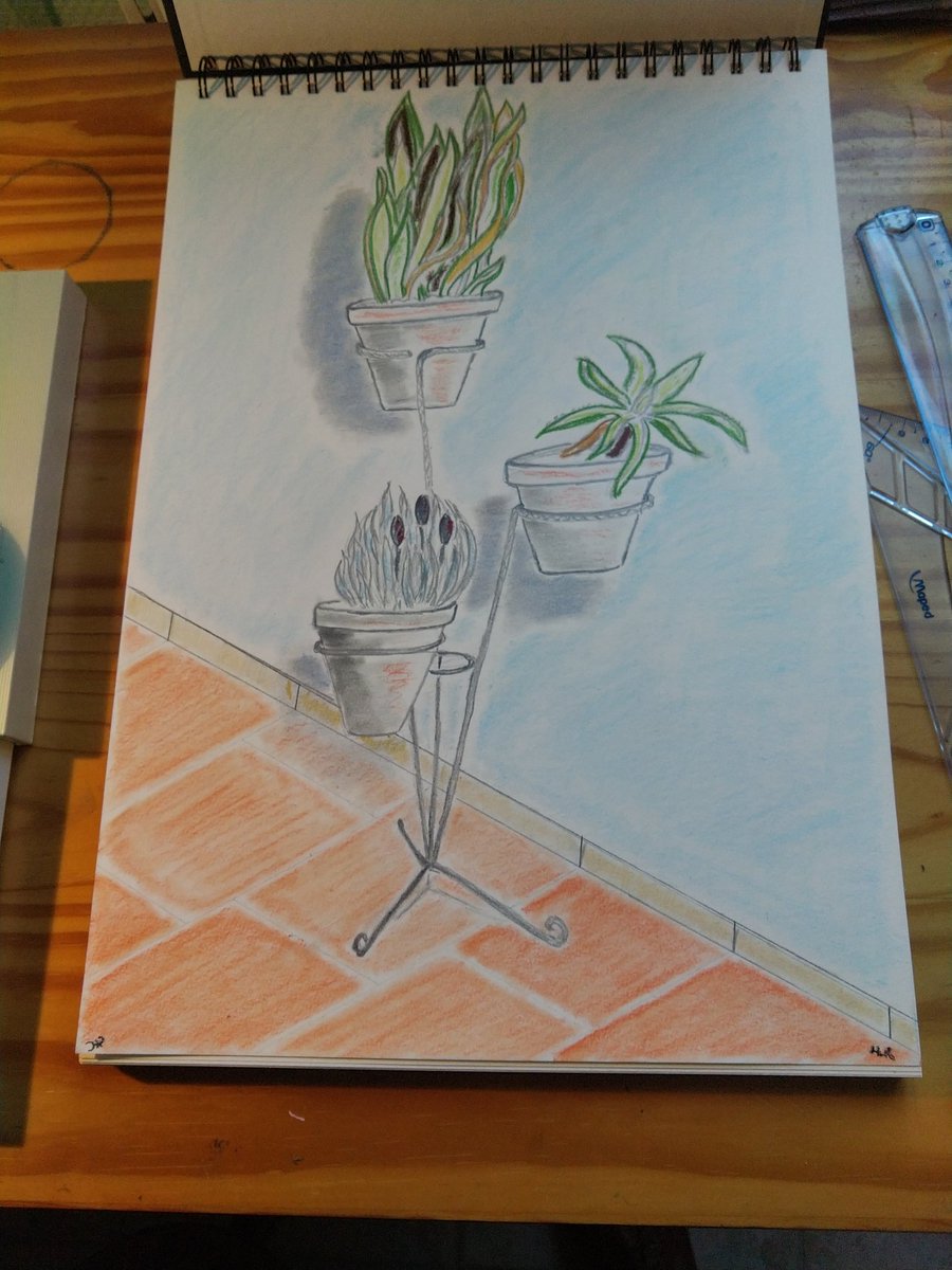 Christo324085's tweet photo. #Gribouille le retour.
Bon #Vendredi avec cette ambiance #succulentes au salon.
#dessin #pastel #couleurs 🌵🪴 https://t.co/c7YG5lknyF