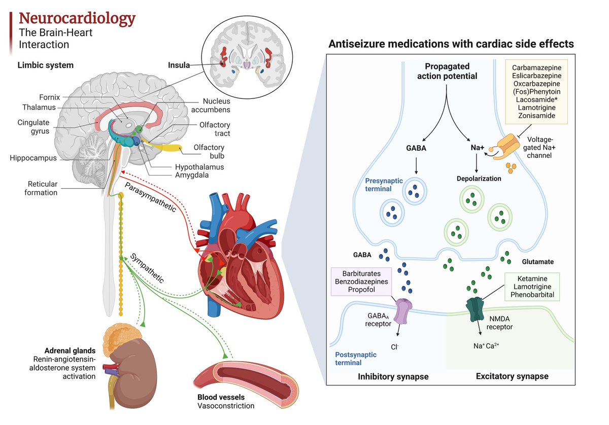Ashley & Brooke Barlow PharmD tweet media