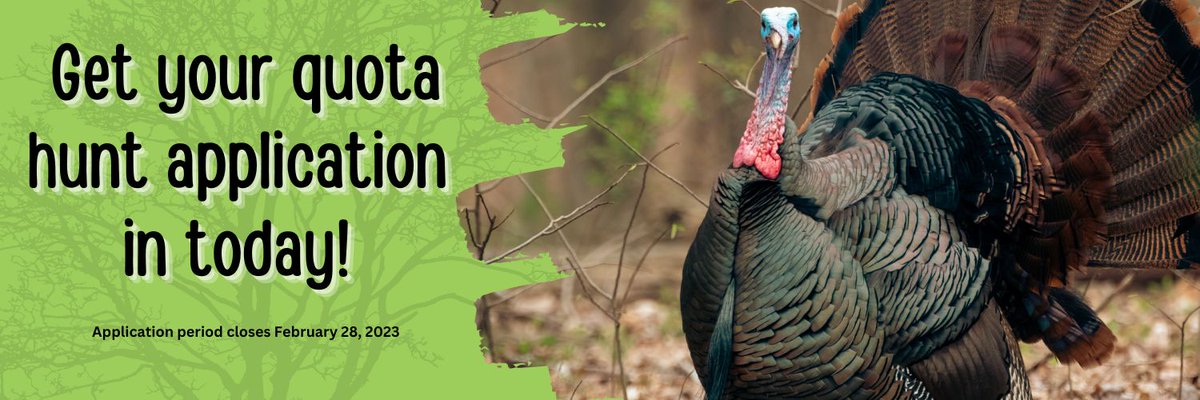 There is still time, get your Turkey Quota Hunt Applications in today! Visit landbetweenthelakes.us/hunting and start the process or to get more information on hunting at LBL. Application period closes February 28. #mylbladventure #turkeyhunting