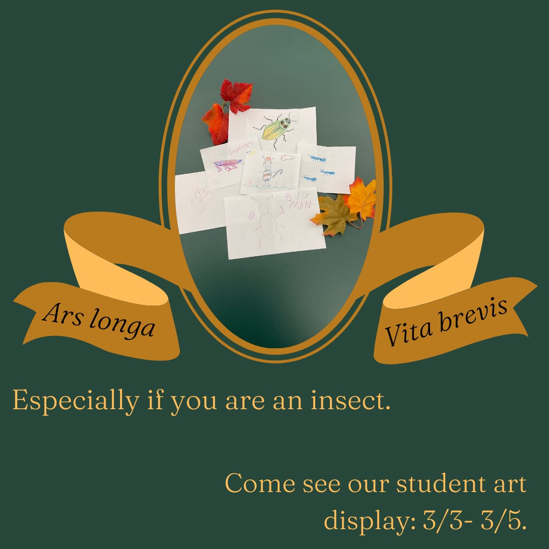 Funk ACES Library tweet media