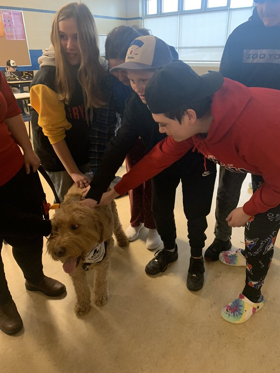 mrs_watton's tweet photo. We ended off Kindness week with Remy, the therapy dog, and his mom Erin, who do a lot of kind work in the area as they visit schools and other facilities to bring people joy! He certainly brought the students of @ParadiseInterm1 joy! Big shout out to his dad @MAaronPower ! https://t.co/emhXV5Mvrl