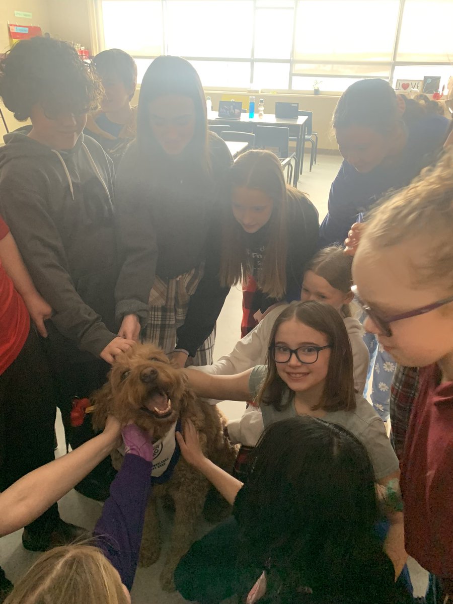 mrs_watton's tweet photo. We ended off Kindness week with Remy, the therapy dog, and his mom Erin, who do a lot of kind work in the area as they visit schools and other facilities to bring people joy! He certainly brought the students of @ParadiseInterm1 joy! Big shout out to his dad @MAaronPower ! https://t.co/emhXV5Mvrl