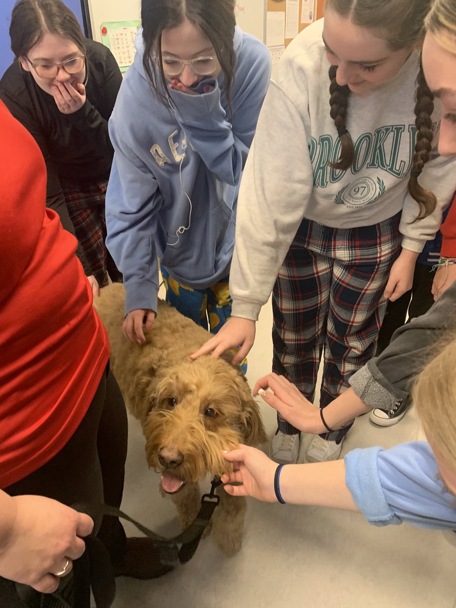 mrs_watton's tweet photo. We ended off Kindness week with Remy, the therapy dog, and his mom Erin, who do a lot of kind work in the area as they visit schools and other facilities to bring people joy! He certainly brought the students of @ParadiseInterm1 joy! Big shout out to his dad @MAaronPower ! https://t.co/emhXV5Mvrl
