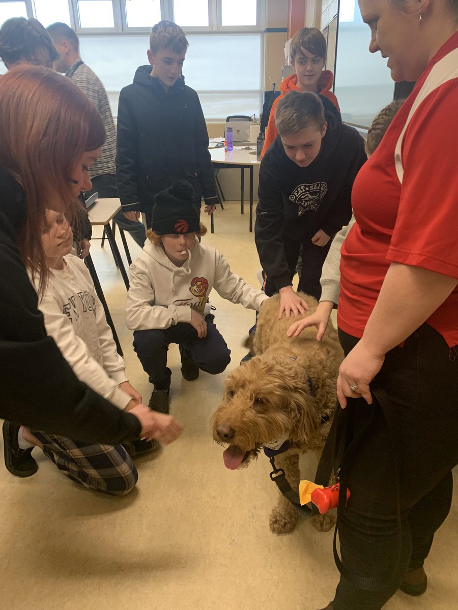 mrs_watton's tweet photo. We ended off Kindness week with Remy, the therapy dog, and his mom Erin, who do a lot of kind work in the area as they visit schools and other facilities to bring people joy! He certainly brought the students of @ParadiseInterm1 joy! Big shout out to his dad @MAaronPower ! https://t.co/emhXV5Mvrl