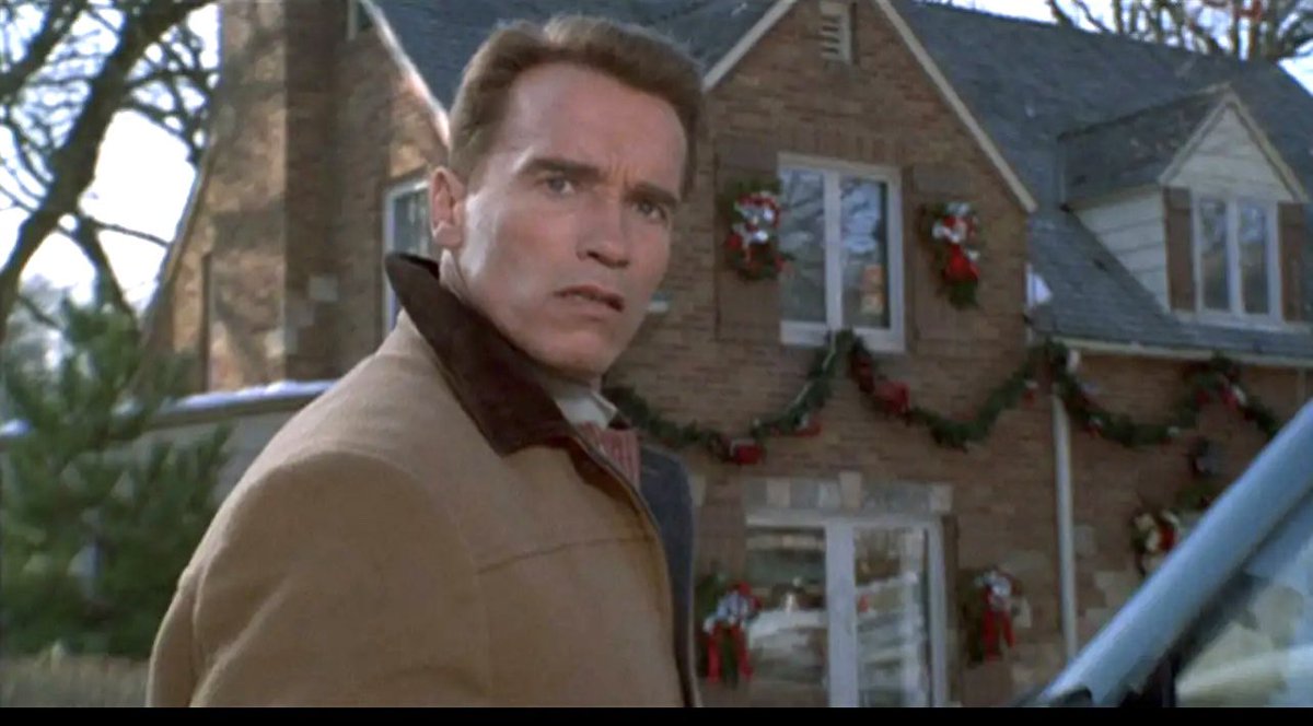 On ‘Jingle All The Way’ the director chose a house in Edina to shoot Arnold Schwarzenegger’s neighborhood. We paid 2 homeowners $76,000 for 6 days of filming. Arnold posed with all 11 families for Christmas photos. His idea. A postcard of life in Minnesota.