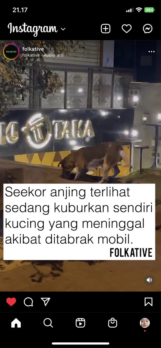 KochengFess v2 tweet media