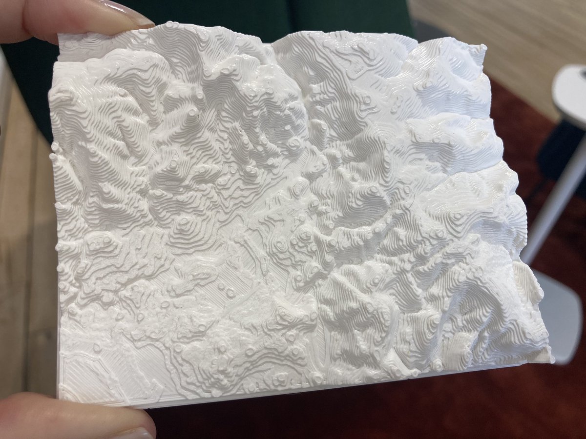 Lindsay Noble tweet media