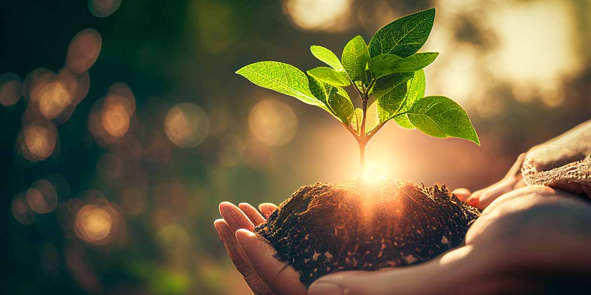 TownofWhitby's tweet photo. Join Roman Halkiewicz for our virtual event on Gardening for Climate Change on March 1 at 7pm! Learn how you can make a positive impact on the environment. #WhitbyInBloom #GardeningForClimateChange ๐ฟ๐ https://t.co/ow2lVtooi7 https://t.co/JmWlECEhqY