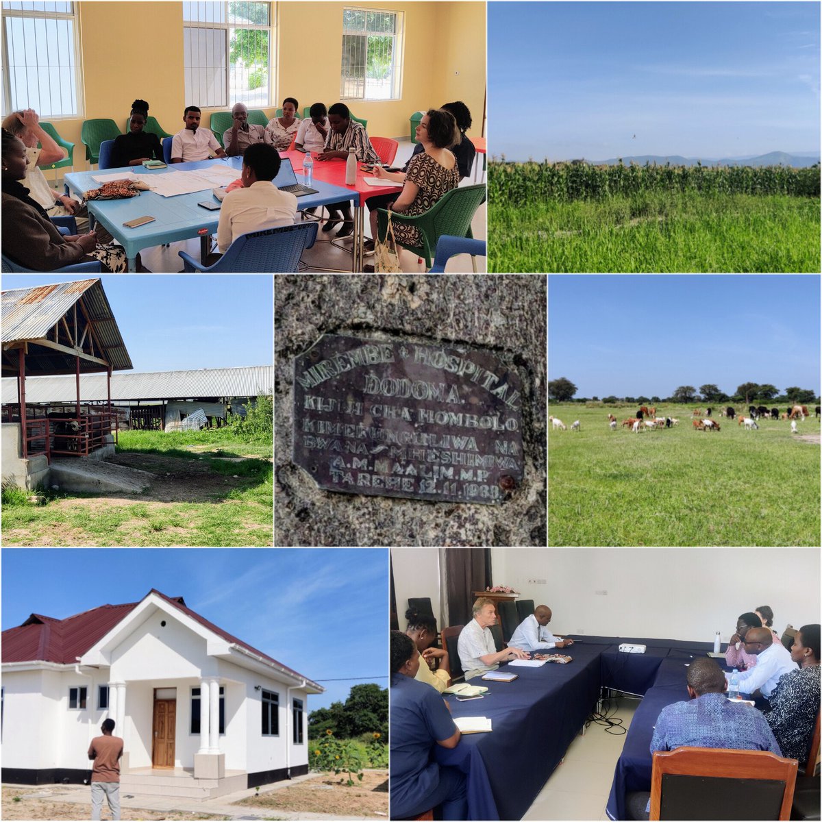 PauDBY's tweet photo. Tanzania Link #CNWL
@Dodoma, Tanzania - Development of community based mental health services- 4th &amp; last week for Sara and me. Focus group with champions, meeting with hospital director re steps moving forward &amp; visit to Hombolo Rehab Centre. 
Chris Bumstead, Sara Edwards https://t.co/LsNPGDxlF8