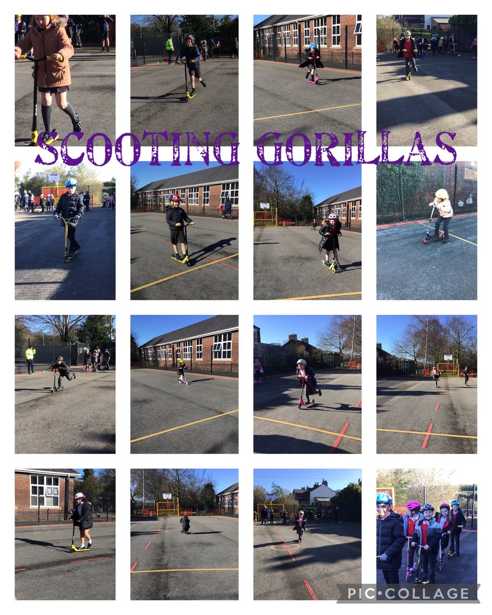 Gorilla class tweet media