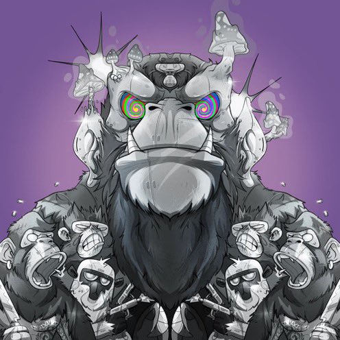 Alex 🥷 tweet media