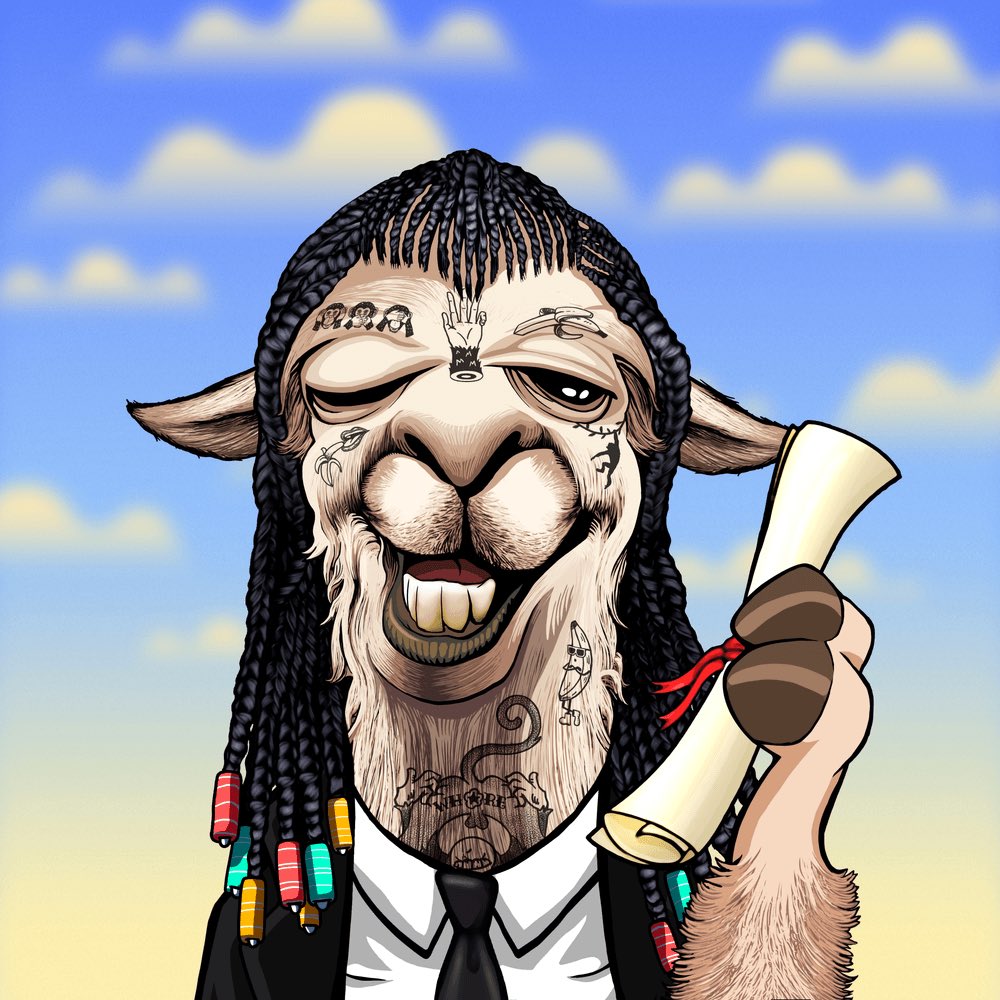 Ibiza_Beard_Oil's tweet photo. Ok ok hear me out, after seeing what @Canx_Art is working on I had to get una mas! From @lallamapic Rank 566 with ApeButt trait 🤣🤣 So one more at a great entry #pricepoint #nftcollector #nft 🦙 #LaLlamaPIC #LaLlama https://t.co/WPOgCIVqSl