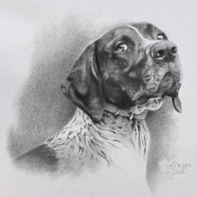 RyanDJacque's tweet image. #NewProfilePic