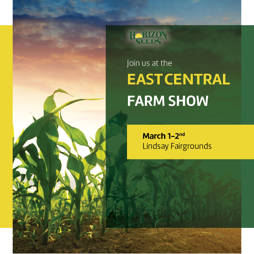 Horizon Seeds Canada (@horizon_seeds) on Twitter photo It's almost time for the #EastCentralFarmShow.
President & owner <a href="/Rick_VanLaecke/">Rick Van Laecke</a> will be joining the team to talk #plant23 and what makes #HorizonSeeds uniquely different.
#FarmFamilyProud #CanadianOwnedCanadianGrown
<a href="/Lindsay_Ex/">LindsayEx</a> <a href="/carson_bay_farm/">Craig Carson</a> #silagespecific #cowchow It's almost time for the #EastCentralFarmShow.
President & owner <a href="/Rick_VanLaecke/">Rick Van Laecke</a> will be joining the team to talk #plant23 and what makes #HorizonSeeds uniquely different.
#FarmFamilyProud #CanadianOwnedCanadianGrown
<a href="/Lindsay_Ex/">LindsayEx</a> <a href="/carson_bay_farm/">Craig Carson</a> #silagespecific #cowchow
