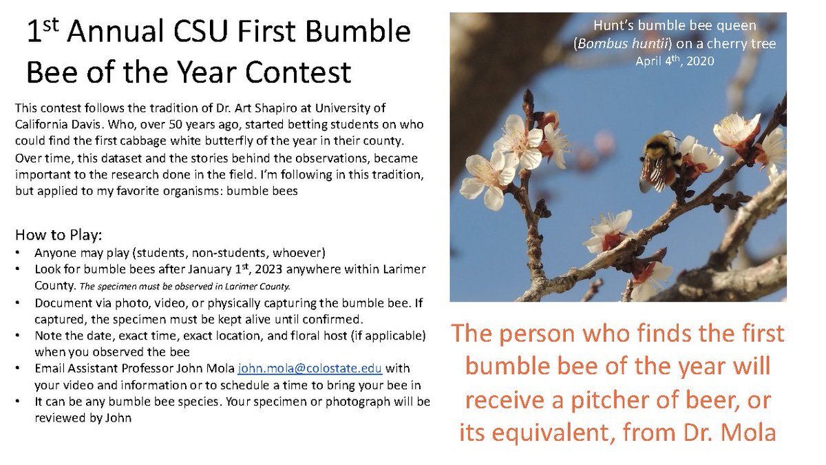 Still v cold in Fort Collins, but Im optimistic, so now as good as ever to say Im bringing a tradition from @UCDavisEntomolo to @ColoradoStateU I offer a pitcher of beer (or equivalent) to anyone who finds the first bumble bee of the year in Larimer County! See details in image