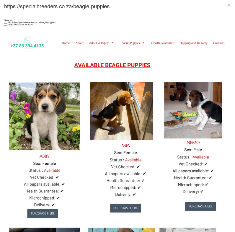 aa419's tweet photo. Who is this scamming client really @truehostcloud?
Example: /specialbreeders.co.za
A stolen puppy pic going back to 2017 #Fraud #PetScam https://t.co/z0gw9FiTyl