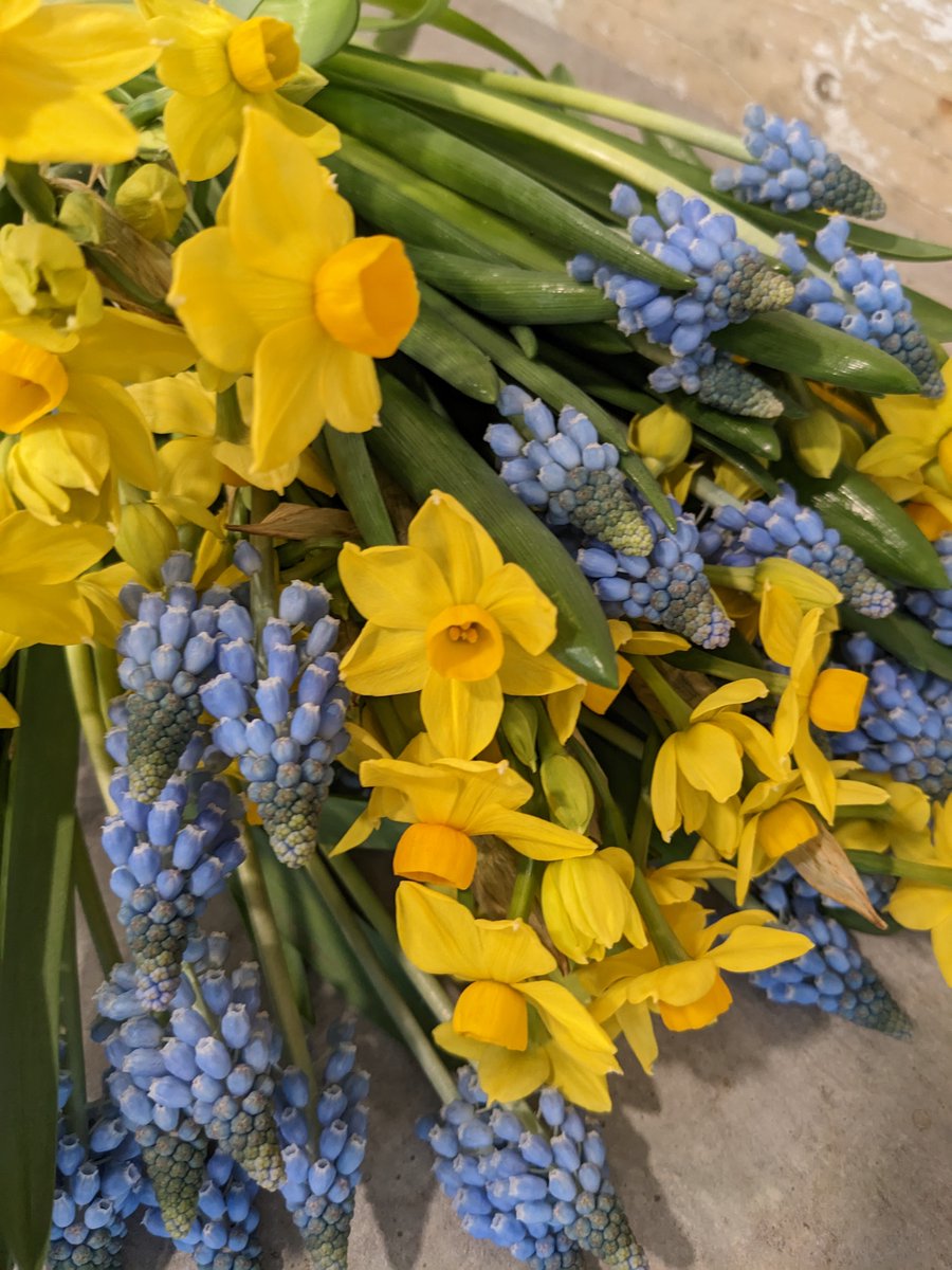 Happy Friday :)
You can now pay for your flowers or floristry workshops by using cash tag £florryuk

#florist #floristworkshops #CashAppUK #springflowers #daffodil